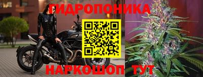 эйфоретик Краснодар