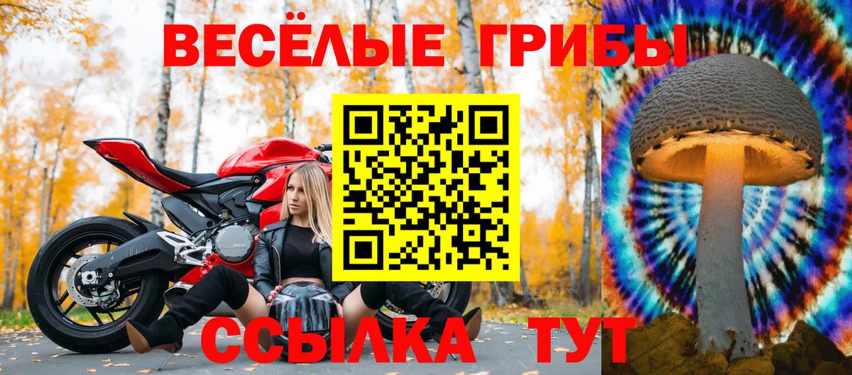 Галлюциногенные грибы MAGIC MUSHROOMS Когалым